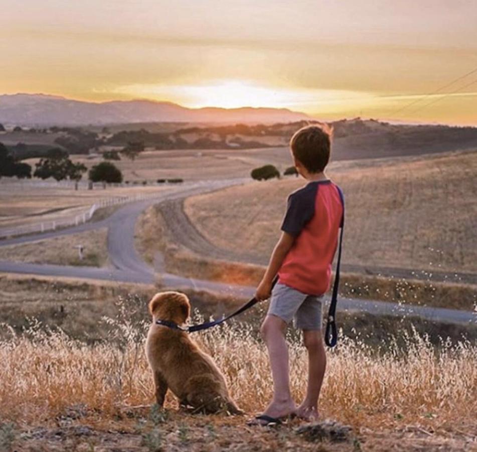 Windwood Ranch Paso Robles 빌라 외부 사진